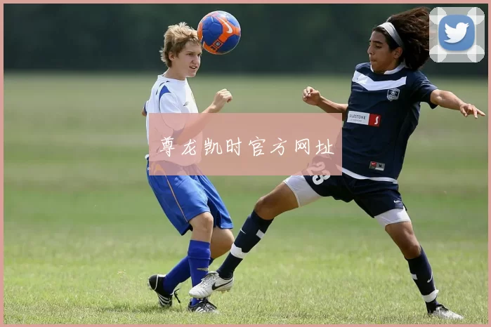 尊龙凯时官方网址