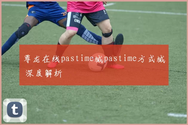 尊龙在线pastime城pastime方式城 深度解析