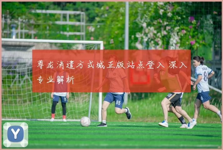 尊龙消遣方式城正版站点登入 深入专业解析