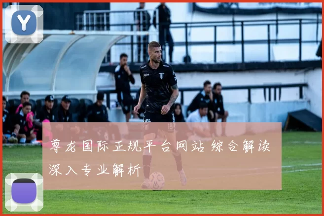 尊龙国际正规平台网站 综合解读 深入专业解析