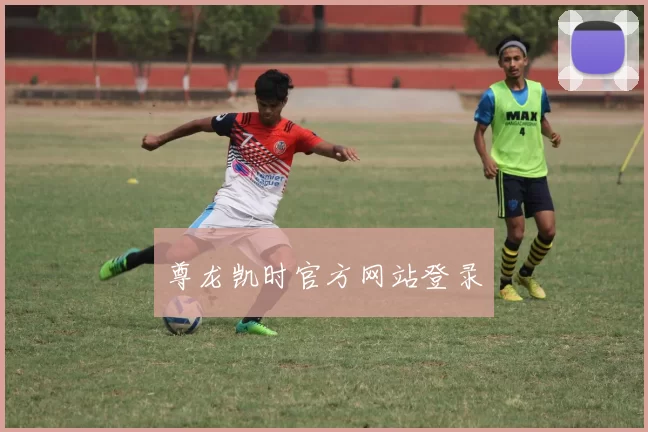 尊龙凯时官方网站登录