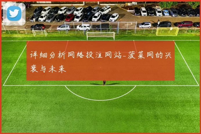 详细分析网络投注网站_菠菜网的兴衰与未来
