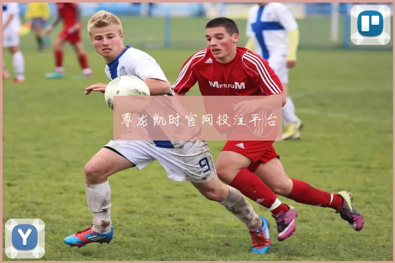 尊龙凯时官网投注平台