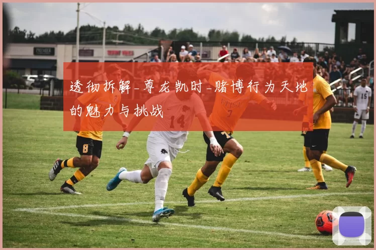 透彻拆解_尊龙凯时_赌博行为天地的魅力与挑战