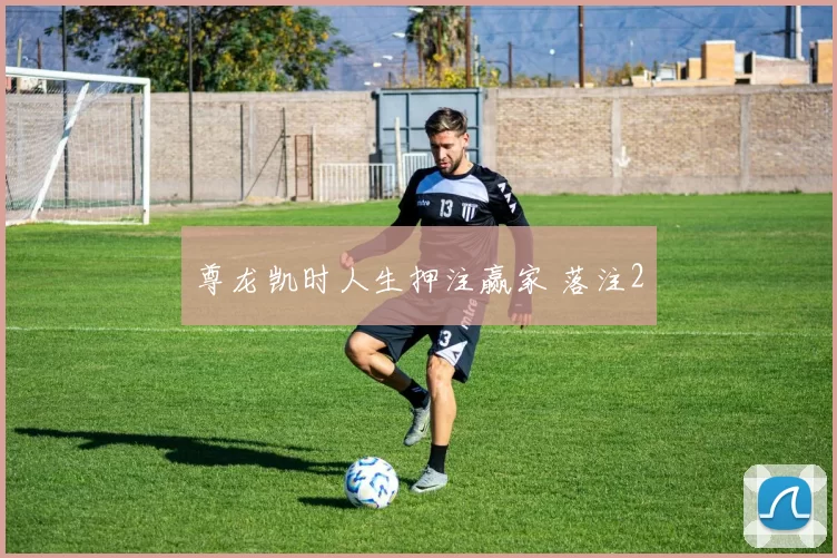 尊龙凯时人生押注赢家 落注2