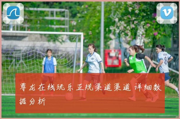 尊龙在线玩乐正规渠道渠道 详细数据分析