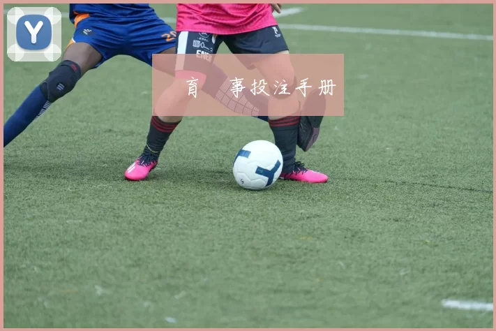 體育賽事投注手册