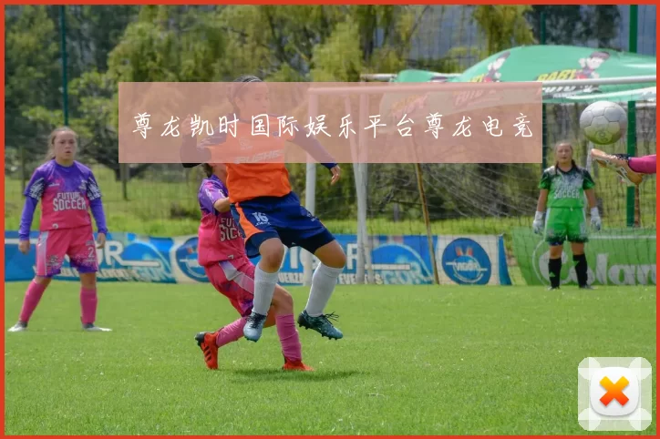 尊龙凯时国际娱乐平台尊龙电竞