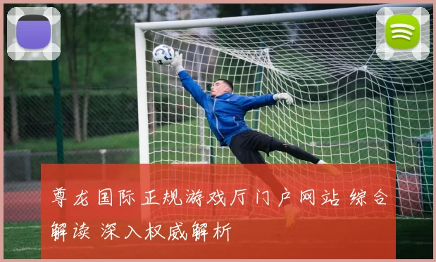 尊龙国际正规游戏厅门户网站 综合解读 深入权威解析