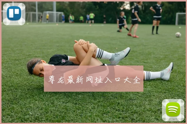 尊龙最新网址入口大全