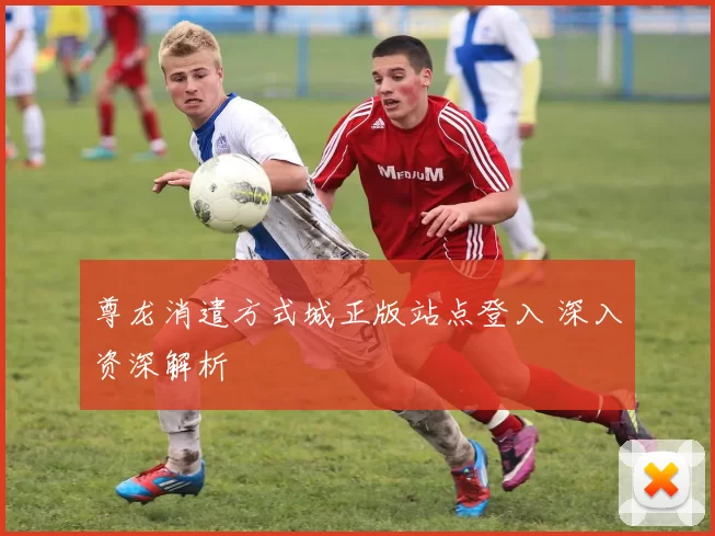尊龙消遣方式城正版站点登入 深入资深解析