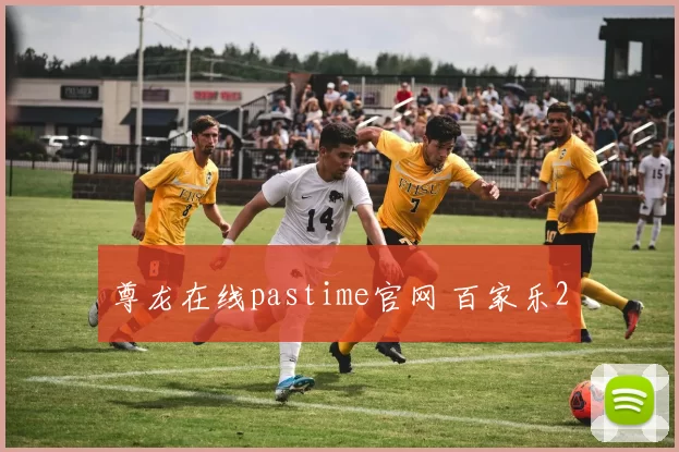 尊龙在线pastime官网 百家乐2