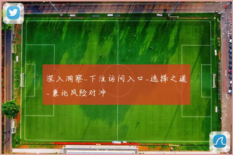 深入洞察_下注访问入口_选择之道_兼论风险对冲