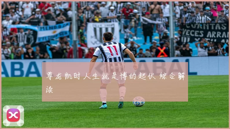 尊龙凯时人生就是博的起伏 综合解读