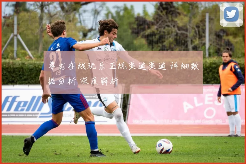 尊龙在线玩乐正规渠道渠道 详细数据分析 深度解析