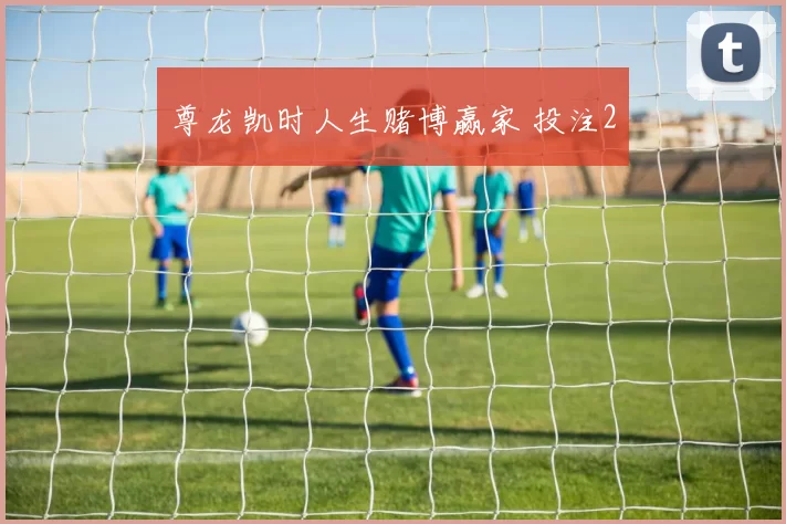 尊龙凯时人生赌博赢家 投注2