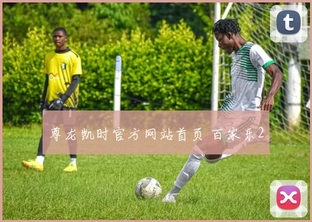 尊龙凯时官方网站首页 百家乐2