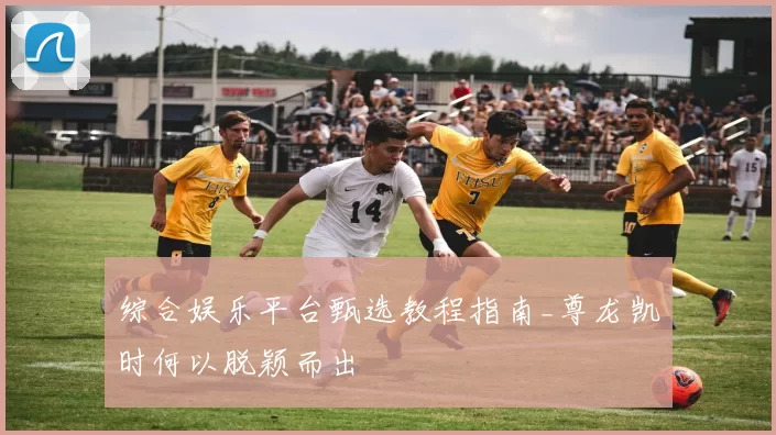 综合娱乐平台甄选教程指南_尊龙凯时何以脱颖而出