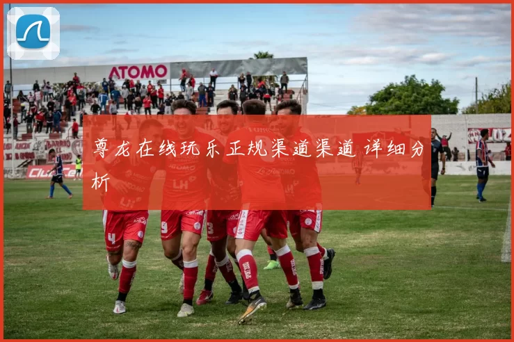 尊龙在线玩乐正规渠道渠道 详细分析