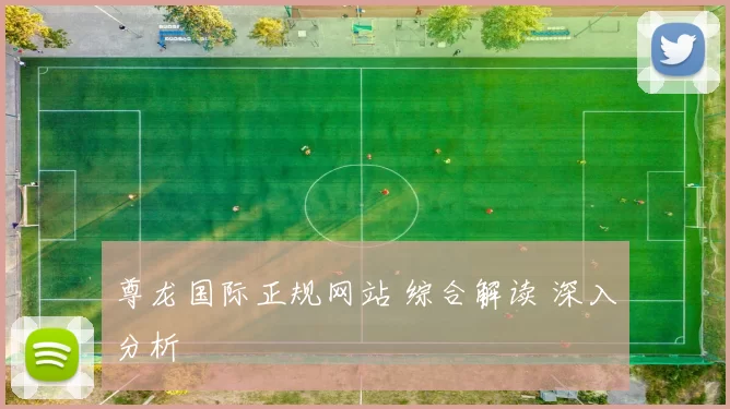 尊龙国际正规网站 综合解读 深入分析