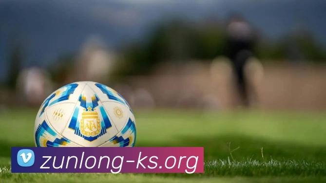 尊龙国际APP 封面图